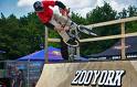 zoo york